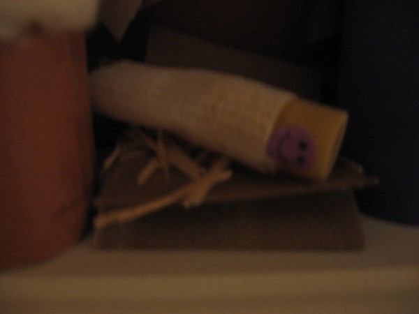 december08 025.jpg
